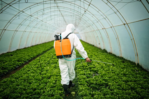 Best Emergency Pest Control  in Countryside, IL