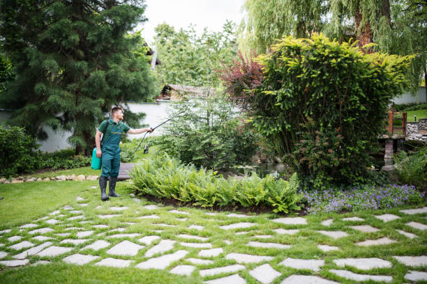 Best Local Pest Control Services  in Countryside, IL