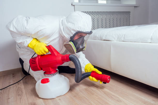 Best Local Pest Control Services  in Countryside, IL